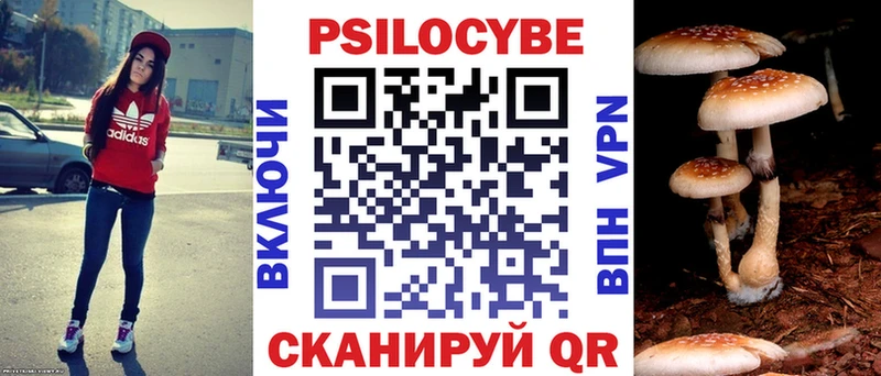 Псилоцибиновые грибы Cubensis  Кудымкар 