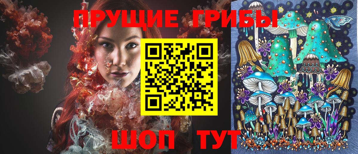Псилоцибиновые грибы GOLDEN TEACHER Кудымкар