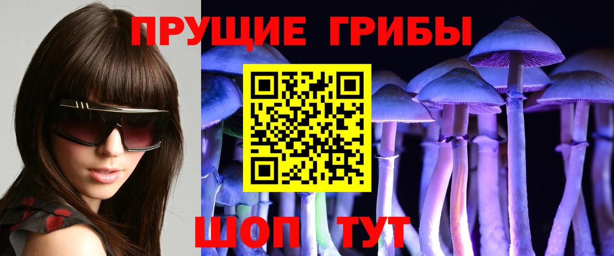 наркота  Псилоцибиновые грибы ЛСД  Галлюциногенные грибы GOLDEN TEACHER  Вход с VPN  Кудымкар 
